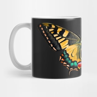 Special Colourful Butterfly | Entomology Lover Mug